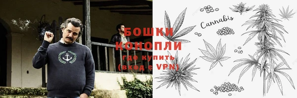 шишки Бородино