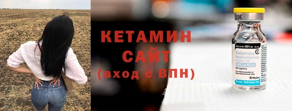 шишки Бородино