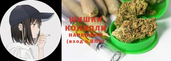 шишки Бородино