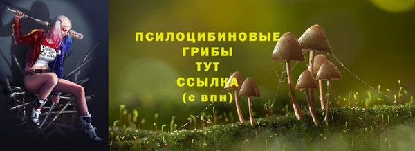 шишки Бородино