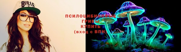 mix Гусиноозёрск