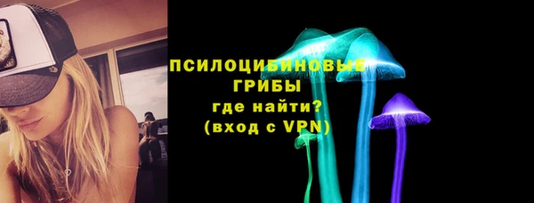 шишки Бородино