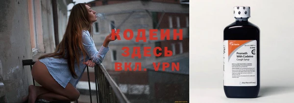 шишки Бородино