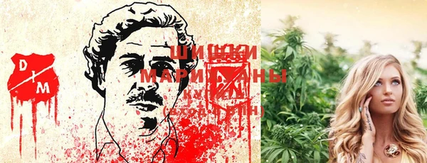 шишки Бородино