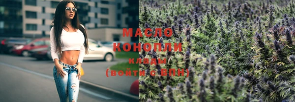 шишки Бородино
