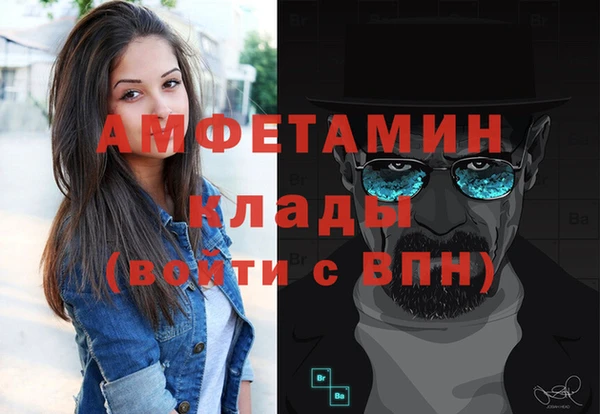 шишки Бородино