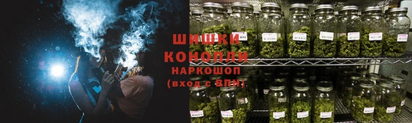 шишки Бородино