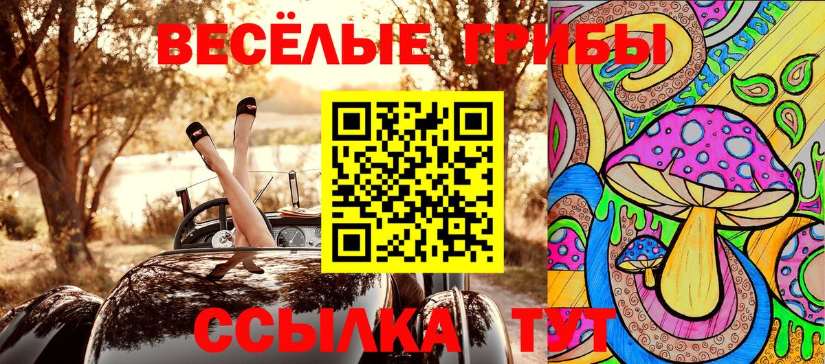 Галлюциногенные грибы GOLDEN TEACHER Волжск