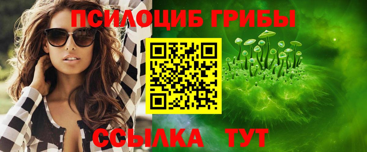 Волжск  Псилоцибиновые грибы Magic Shrooms  Вход с VPN  Псилоцибиновые грибы Psilocybe 