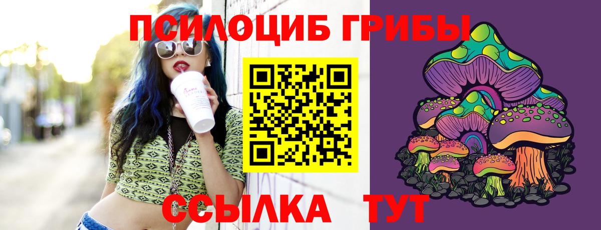 Галлюциногенные грибы прущие грибы  Волжск 