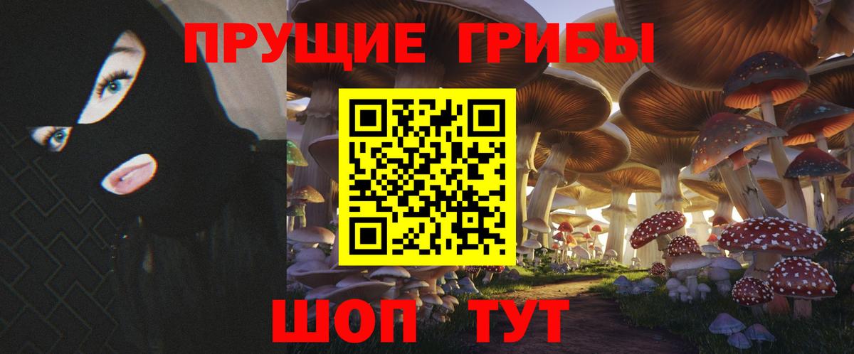 Галлюциногенные грибы Cubensis Волжск