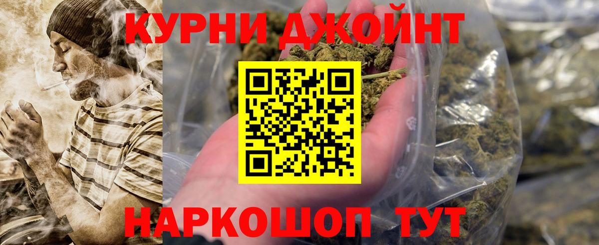 Бошки марихуана семена  Вход с VPN  Волжск  Марихуана сатива  МАРИХУАНА сатива  Канабис Ganja 